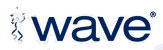 Wave Systems Corp.